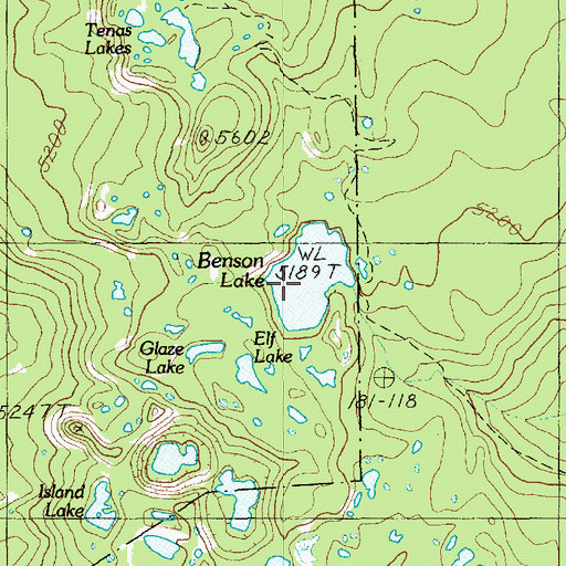 Topographic Map of Benson Lake, OR