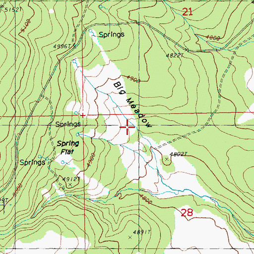 Topographic Map of Big Meadow, OR