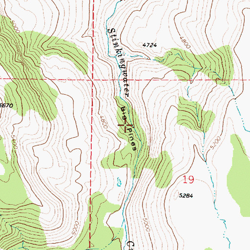 Topographic Map of Big Pines, OR