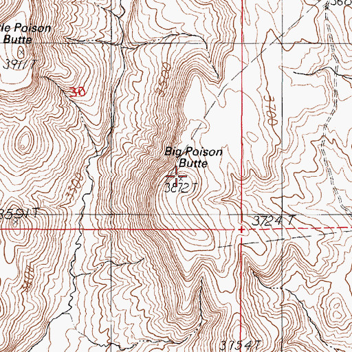Topographic Map of Big Poison Butte, OR