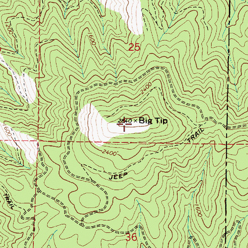 Topographic Map of Big Tip, OR