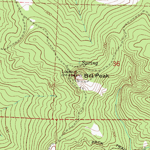 Topographic Map of Bill Peak, OR