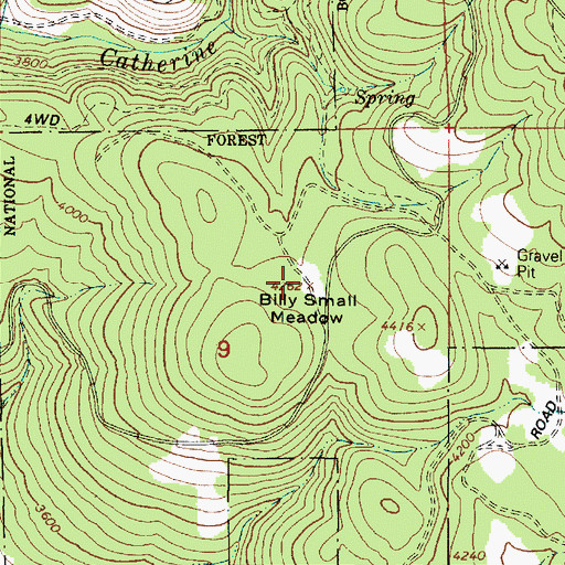 Topographic Map of Billy Small Meadow, OR