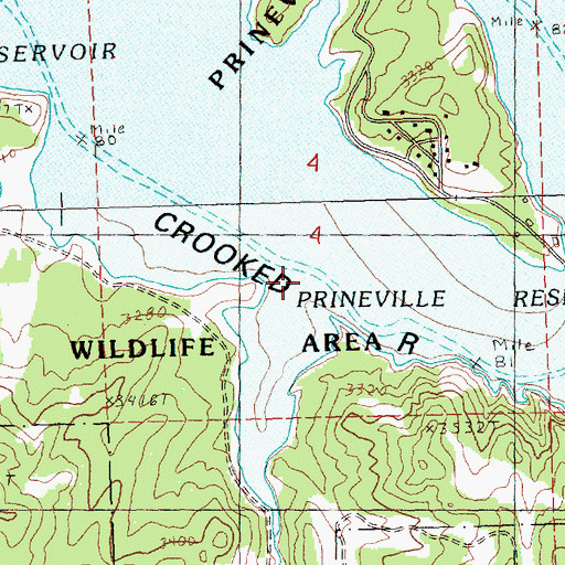 Topographic Map of Birch Canyon, OR