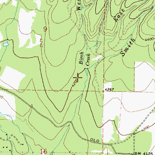 Topographic Map of Birch Creek, OR