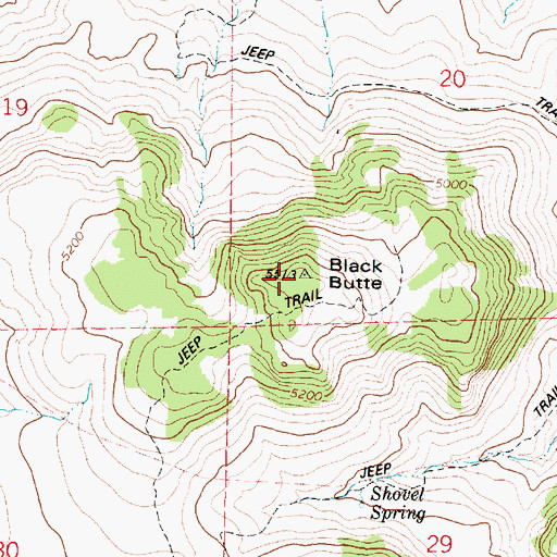 Topographic Map of Black Butte, OR