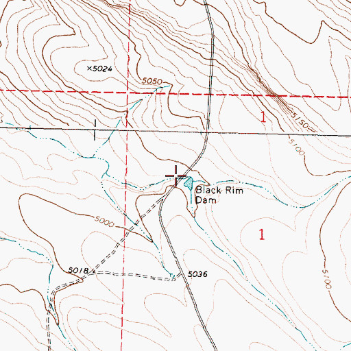 Topographic Map of Black Rim Dam, OR