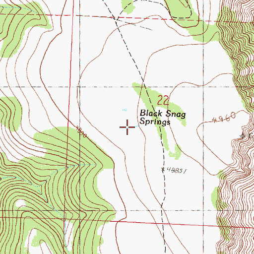 Topographic Map of Black Snag Springs, OR