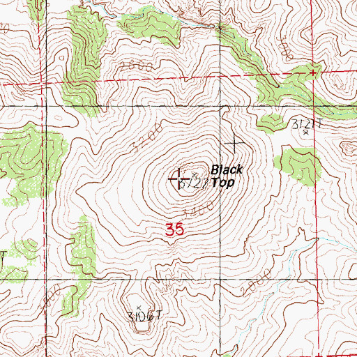 Topographic Map of Black Top, OR