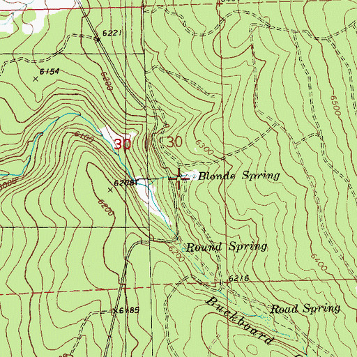 Topographic Map of Blonde Spring, OR