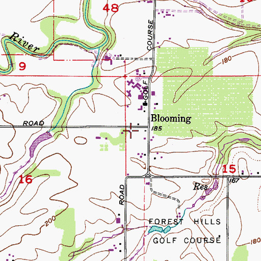 Topographic Map of Blooming, OR