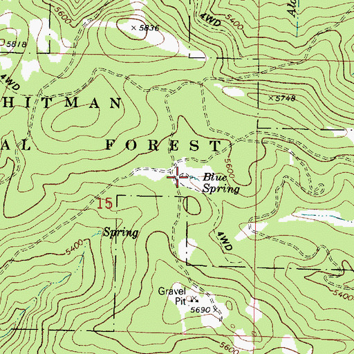 Topographic Map of Blue Spring, OR