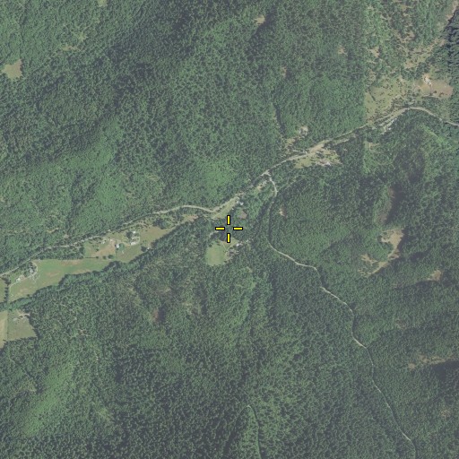 Aerial/Satellite Image of Board Tree Creek, OR