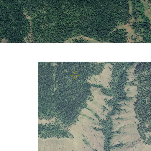 Aerial/Satellite Image of Bobcat Spring, OR