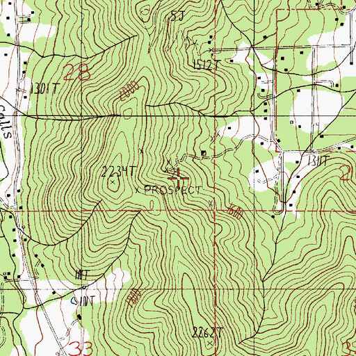 Topographic Map of Braden Mine, OR