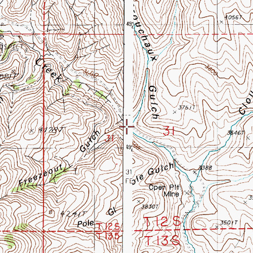 Topographic Map of Brouchaux Gulch, OR