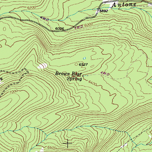 Topographic Map of Brown Bear Spring, OR