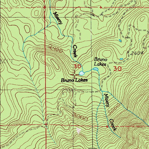 Topographic Map of Bruno Lakes, OR