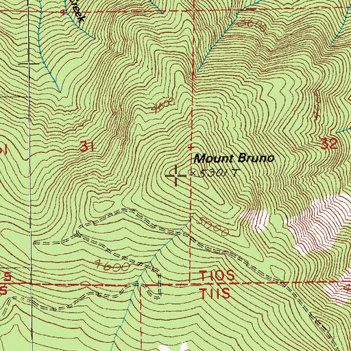 Topographic Map of Mount Bruno, OR