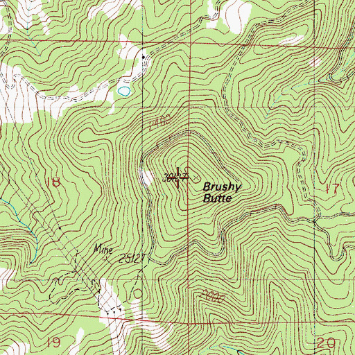 Topographic Map of Brushy Butte, OR