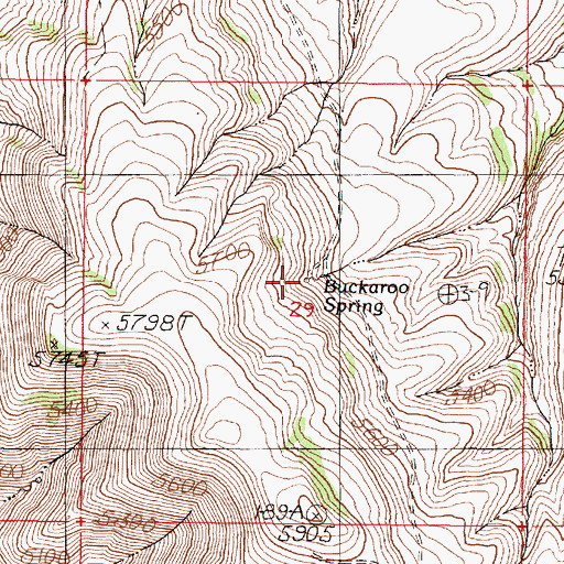 Topographic Map of Buckaroo Spring, OR