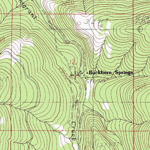 Topographic Map of Buckhorn Springs, OR