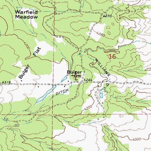 Topographic Map of Bulger Hill, OR