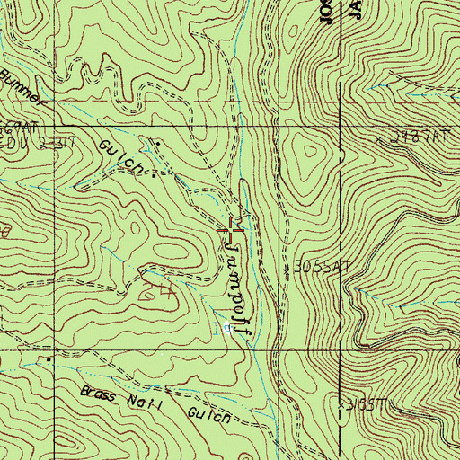 Topographic Map of Bummer Gulch, OR
