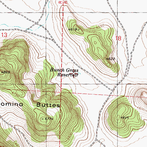 Topographic Map of Bunch Grass Reservoir, OR