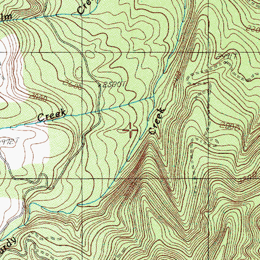 Topographic Map of Buoy Creek, OR