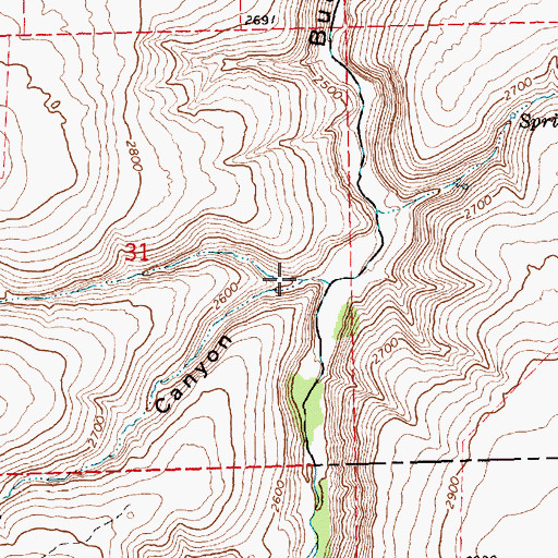 Topographic Map of Burgess Canyon, OR