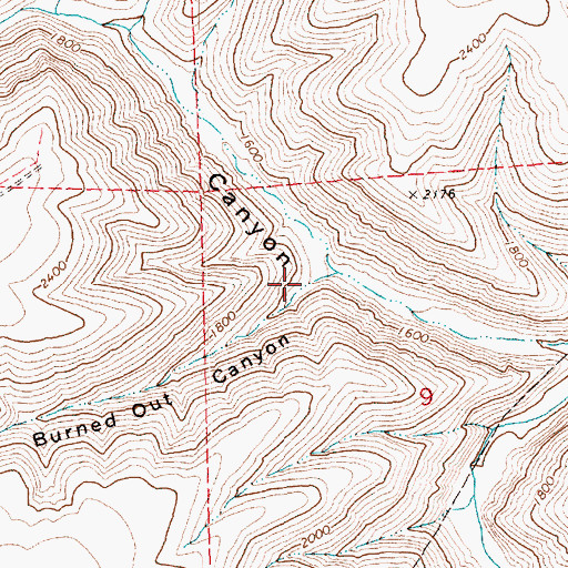 Topographic Map of Burned Out Canyon, OR