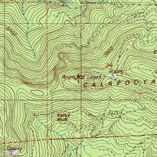 Topographic Map of Burnt Mountain, OR