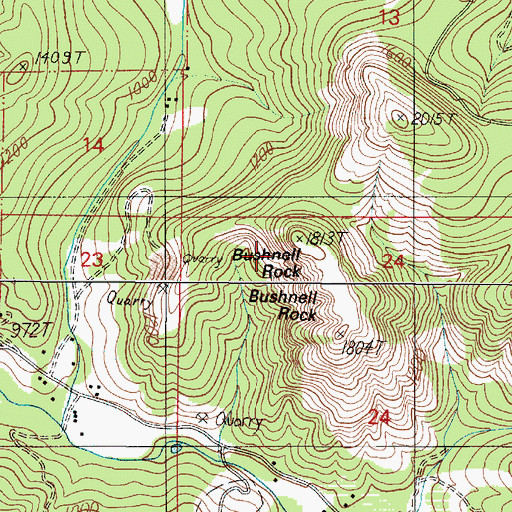Topographic Map of Bushnell Rock, OR