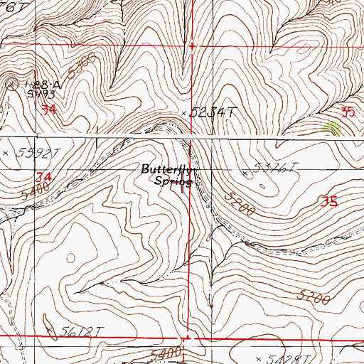 Topographic Map of Butterfly Spring, OR