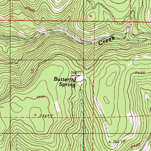 Topographic Map of Butterfly Spring, OR