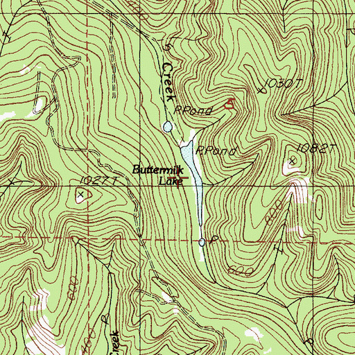 Topographic Map of Buttermilk Lake, OR