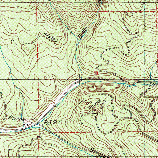 Topographic Map of Buttin Creek, OR