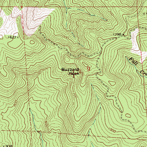 Topographic Map of Buzzard Rock, OR