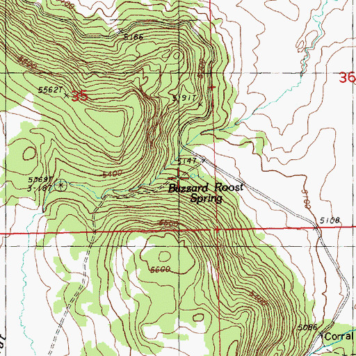Topographic Map of Buzzard Roost Spring, OR
