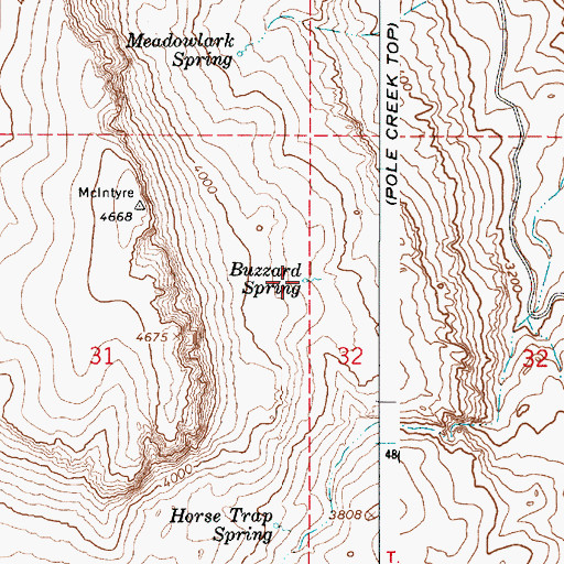 Topographic Map of Buzzard Spring, OR