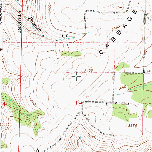 Topographic Map of Cabbage Hill, OR