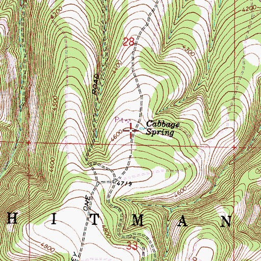 Topographic Map of Cabbage Spring, OR