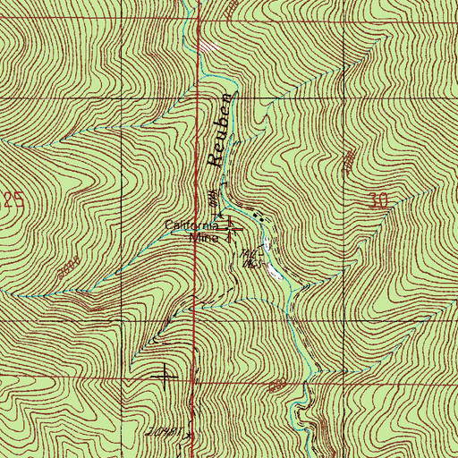 Topographic Map of California Mine, OR