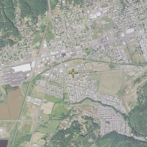 Aerial/Satellite Image of Camas Swale, OR