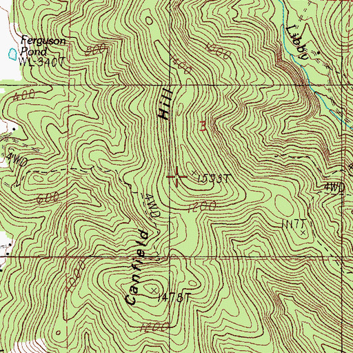 Topographic Map of Canfield Hill, OR