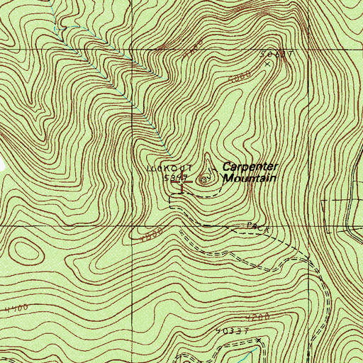 Topographic Map of Carpenter Mountain, OR