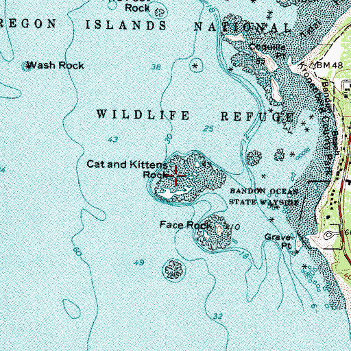 Topographic Map of Cat and Kittens Rock, OR