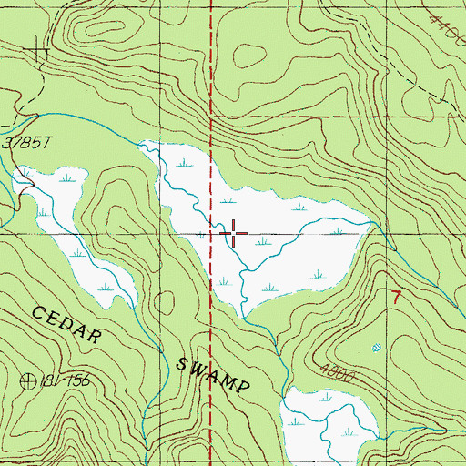 Topographic Map of Cedar Swamp, OR