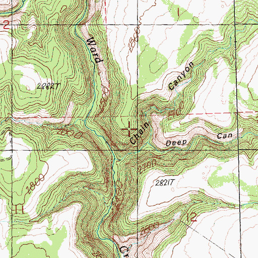 Topographic Map of Chain Canyon, OR